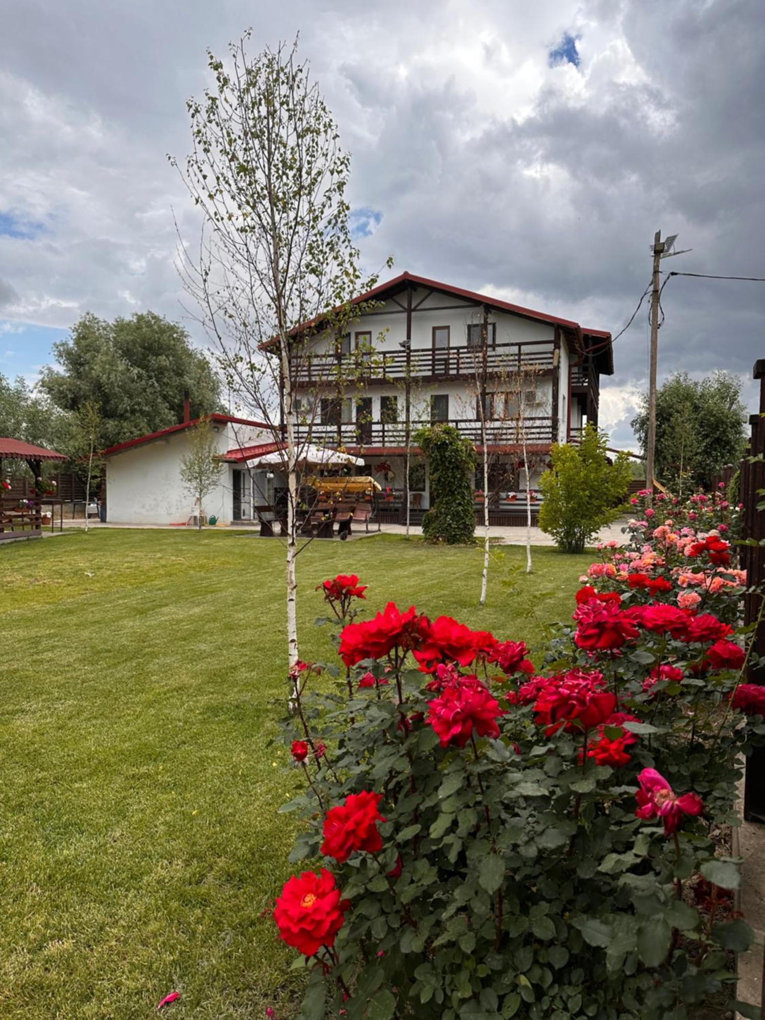 Casa Carp Calarasi Hotel Luaran gambar